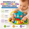 Imagen de Órgano musical Elefante con actividades, luces y sonidos