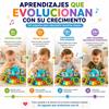 Imagen de Órgano musical Elefante con actividades, luces y sonidos