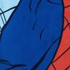 Imagen de Toalla Set Gafas Natación Spiderman 24.0 X 34.0 X 6.0 Cm