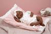 Imagen de Muñeca Reborn Arias 45 Cm Sasha C/Cojin